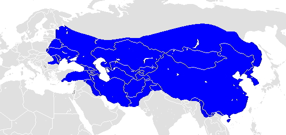 the Mongol Empire.jpg