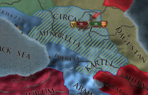 448.jpg