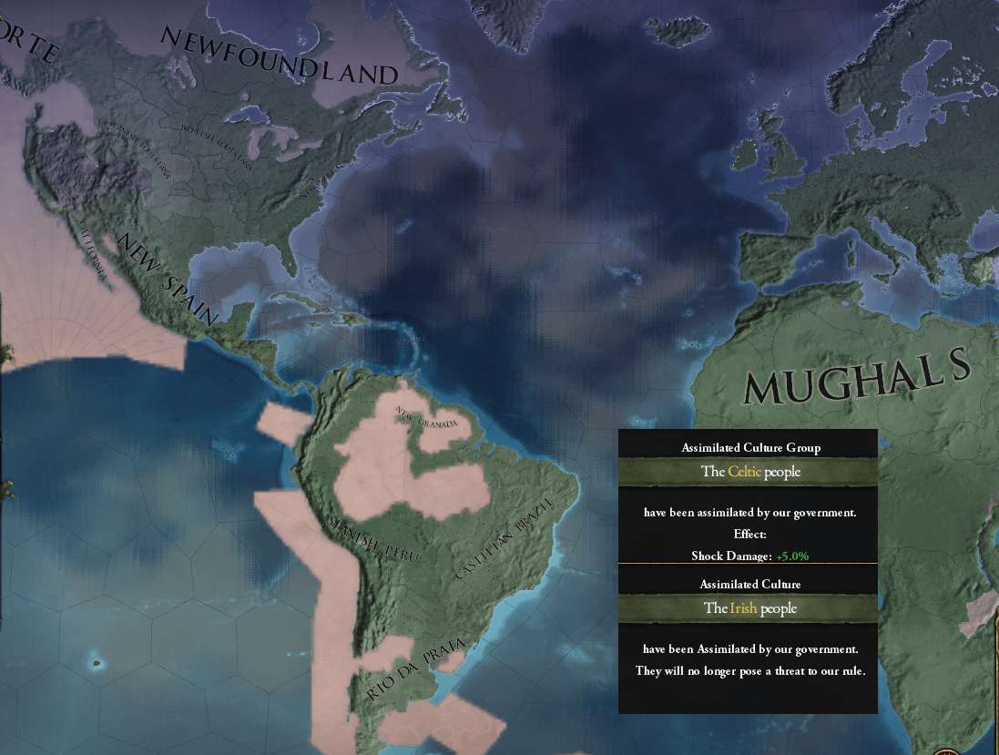 239.jpg