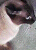 J.png