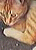 K1.png