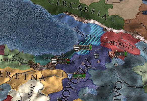 1466.jpg